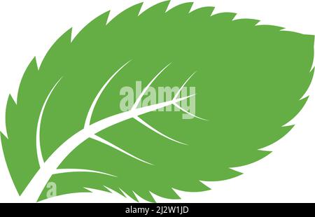 Mint leaf logo illustration vector Stock Vector