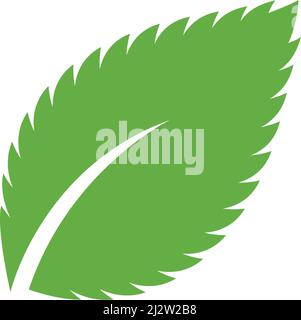 Mint leaf logo illustration vector Stock Vector