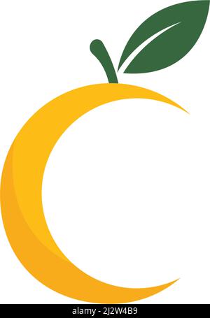 Orange fruit logo Vector illustration template Stock Vector
