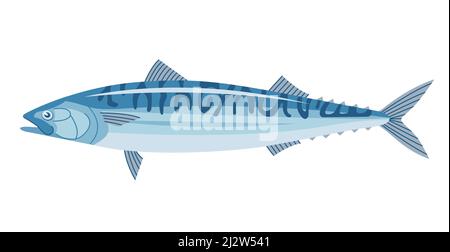 Sea fish mackerel. Underwater marine life. Cooking delicious food. Flat vector illustration isolated on a white background Stock Vector