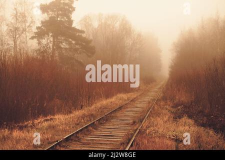 Empty railway goes through a foggy forest in autumn morning Stock Photo