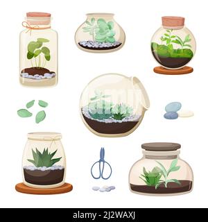 Set of home florariums in glass jars Stock Vector