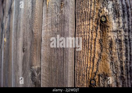 Wooden texture with sun glints and hammered nails Stock Photo