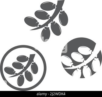 Date fruits logo illustration vector flat design Stock Vector