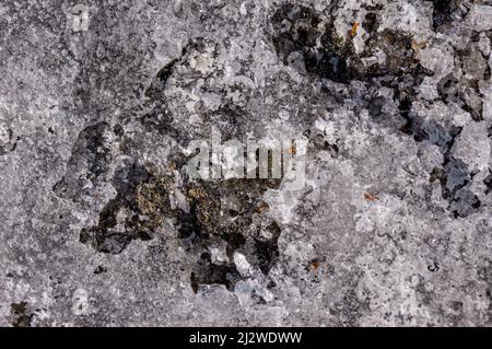 Contrasting texture from gray dirty snow on the ground Stock Photo