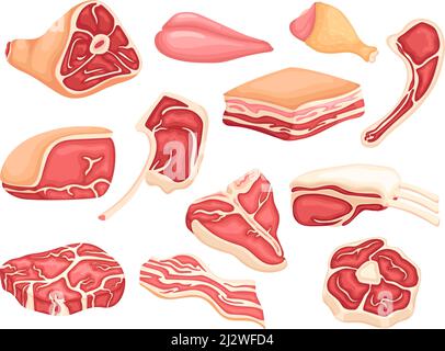 Meat products. Raw lamb sliced, pork belly stake. Ham and chicken parts. Cutting meats and birds. Gourmet food elements, fresh market neat vector set Stock Vector