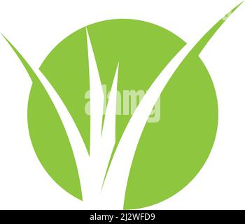 Natural Grass ilustration logo vector design Stock Vector