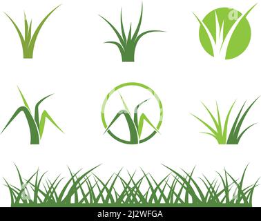 Natural Grass ilustration logo vector design Stock Vector