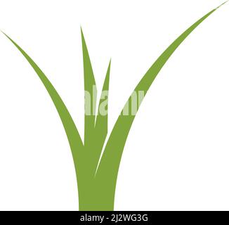 Natural Grass ilustration logo vector design Stock Vector