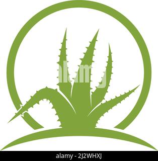 Aloe vera logo vector ilustration template Stock Vector