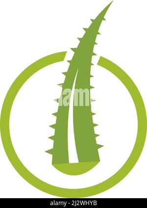 Aloe vera logo vector ilustration template Stock Vector
