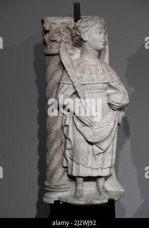 St.Cosma - marble  - Ferrara sculptor  - 1470 - Ferrara, Italy, Museum of the Cathedral Stock Photo