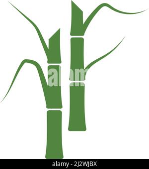 Sugar cane plant logo vector illustration design Stock Vector