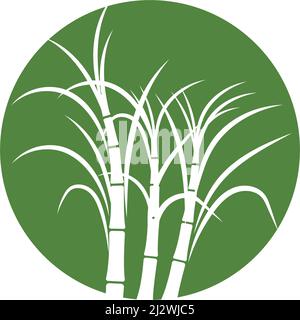 Sugar cane plant logo vector illustration design Stock Vector