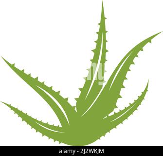 Aloe vera logo vector ilustration template Stock Vector