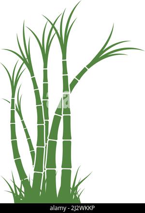 Sugar cane plant logo vector illustration design Stock Vector