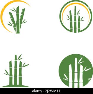 Bamboo tree logo ilustration vector template Stock Vector