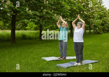 Senior family couple on summer day doing yoga exercises outdoors in the park. Stock Photo