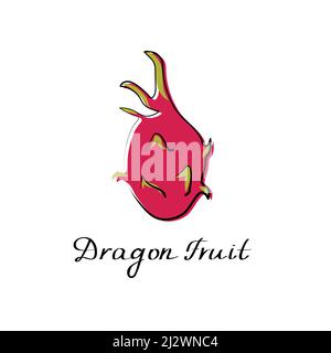 Dragon fruit sketch. Pitaya pitahaya vector Illustration. Strawberry pear sign. Exotic fruit in hand drawn style. Food icon Stock Vector