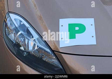 P plate on car indicating probationary driver Stock Photo
