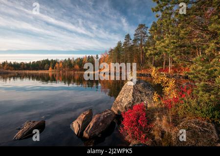Lakeshore in autumn in Lapland in Sweden with afternoon sun Stock Photo