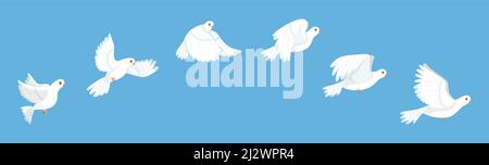 Flying bird animation. White pigeon flapping wings sequence, stop motion storyboard, peaceful dove flight stages, cycle loop, city fauna, hope and Stock Vector