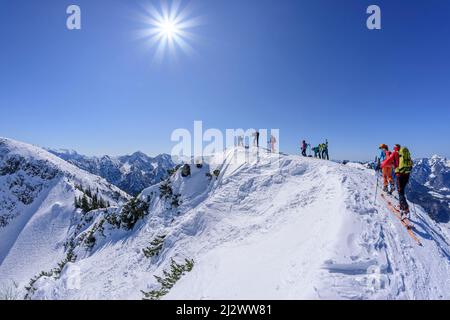 Several people on ski tour stand on the ridge of the Rauschberg, Chiemgau Alps in the background, Rauschberg, Chiemgau Alps, Upper Bavaria, Bavaria, Germany Stock Photo