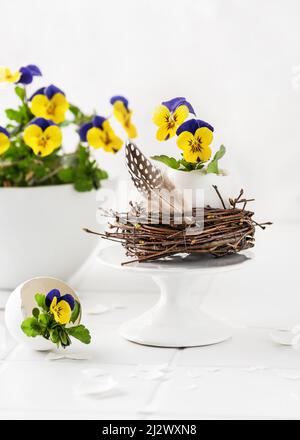 Creative floristic arrangement with purple and yellow viola flowers in egg vase and nest. Homemade decoration for Easter. Copy space Stock Photo