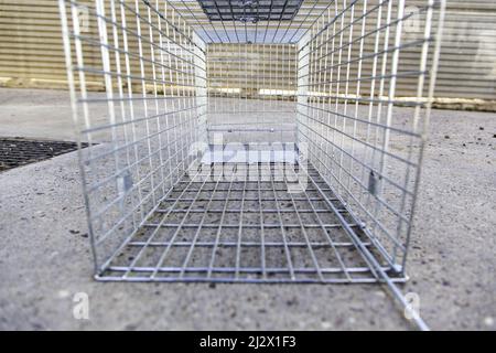 Empty cage for hunting cats and animals, objects Stock Photo