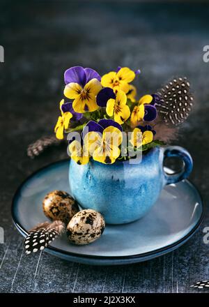 Beautiful easter decoration with  purple and yellow pansy flowers in a blue coffee pot on rustic background. Stock Photo