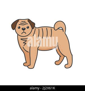 Pug isolated vector illustration. Small dog with folds and flattened muzzle. Home pet doodle kawaii Stock Vector