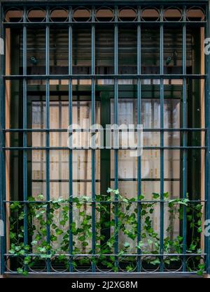 window Bars Abstract Bar Barred Blur Building Concept Damage Decay ...