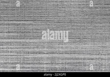 Textured brushed metallic background in silver color. Stock Photo