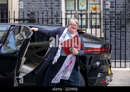 Thérèse Coffey MP, Secretary of State for Work and Pensions, is seen at 10 Downing street ahead of weekly cabinet meetings. Stock Photo