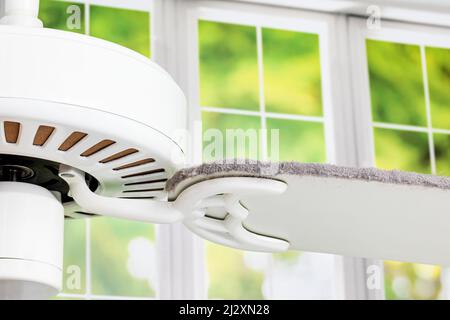 Dirty ceiling fan blade. Housekeeping, indoor allergies and spring cleaning concept Stock Photo