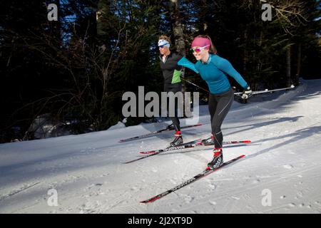 France, Isere department, Lans-en-Vercors (south-eastern France): cross-country skiers, man and woman, surrounded by the snowy landscape of the Vercor Stock Photo