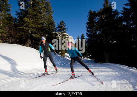 France, Isere department, Lans-en-Vercors (south-eastern France): cross-country skiers, man and woman, surrounded by the snowy landscape of the Vercor Stock Photo