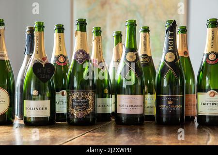 A row of empty green Champagne bottles from different vineyards and labels Stock Photo