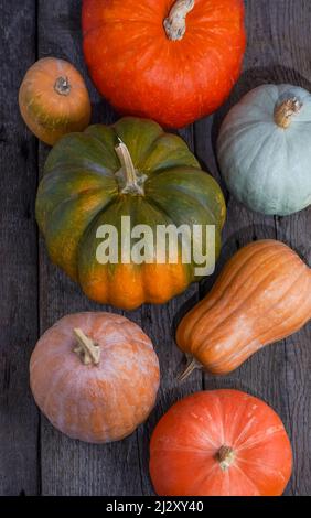 Set of different pumpkins on old wooden background. Different varieties. Orange, green and gray pumpkin. Autumn harvest. Halloween and Thanksgiving food. Stock Photo