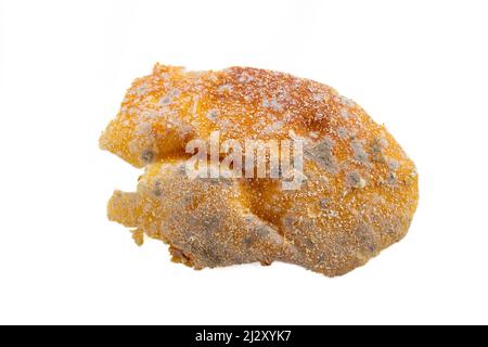 Top view moldy bread isolated on white background. Rotten bread. Mildew covered food. Stock Photo