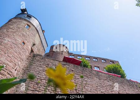 Wertheim; Wertheim Castle Stock Photo
