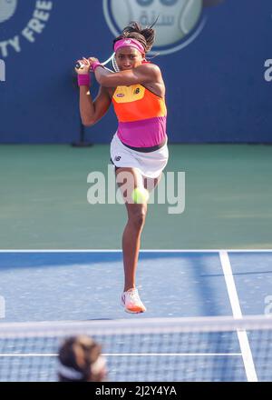 American tennis player Cori Gauff playing a backhand shot at the  Dubai Tennis Championships 2022, Dubai, United Arab Emirates. Stock Photo
