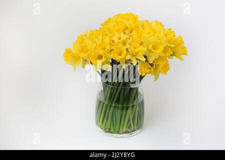 Bouquet of Daffodils in Vase Mother's Day Gift Stock Photo