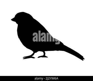 Vector black bullfinch sparrow bird silhouette isolated on white background Stock Vector