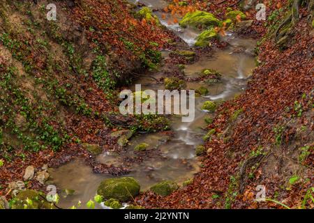 Leimbach creek near Zurich Zoo garten with deep color valley Stock Photo