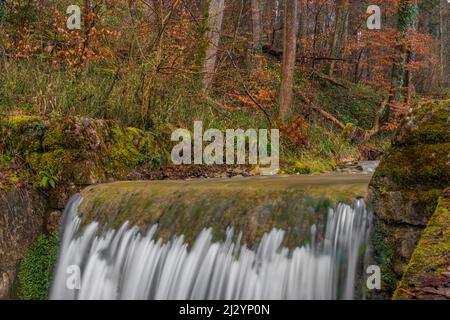 Sagentobelbach creek near Zurich Zoo garten with waterfall small cascade Stock Photo