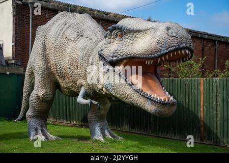 Real size dinosaur sculpture in Balckpool Zoo Stock Photo