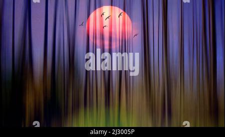 ABSTRACT ART: "As the Sun Sets" by Edmund Nagele FRPS  (big red sun with a flock of birds flying above forest scene) Stock Photo