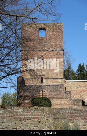 Ruine Alte Kirche, deren Kirchturm 1921 durch einen Orkan zerstört wurde, Nordrhein-Westfalen, Deutschland, Merzenich