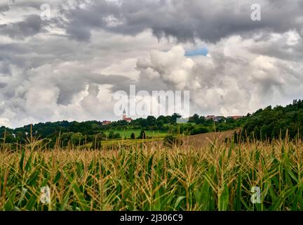 View over the corn fields to the Church of Sankt Johannes Nepomuk after a summer thunderstorm, Thürnthenning, Bavaria, Germany Stock Photo